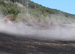 Flaechenbrand Bei Jena 020718 0005